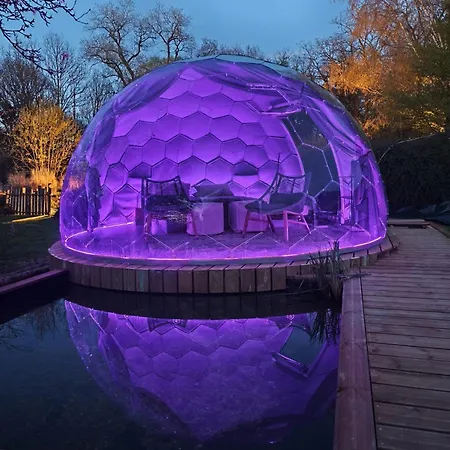 Dome Renard By Out & Couvin