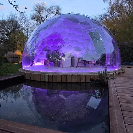 Dome Renard By Out & *